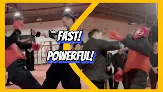 Wing Chun Training Skills: fast ,powerful #shorts #Wushu #KungFu #martialarts