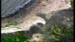 USA - Il disastro ambientale in Louisiana