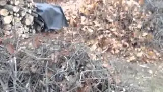 Tree Branch removal 4 Part Wire Rope System