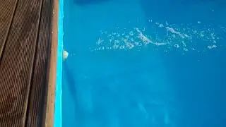 VID 20200703 185149