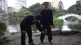 Zhan zhuang - Art of Tai Chi Standing Meditation by Guo Yuxian