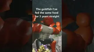 My goldfish are alphas | Roblox Moon Animation #shorts  #robloxmoonanimator #roblox #memes