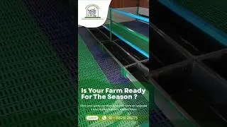 Farm upgrade done right! 💪🐐InVivo Agritech Plastic Slatted Floor! #farming #goatfarm #clean #health