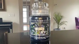 Yankee Candle Blueberry 🫐 OG из всех OG!! 🫐 обзор свечи