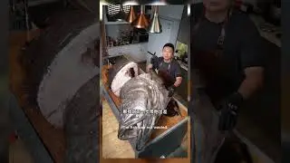 GIANT GROUPER #cuteanimals #monkeys #nature #wild #wildanimals #cute #sweet #beautiful