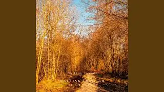 Walking Sounds