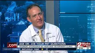 Ask Dr. Joe: Answering your pet questions