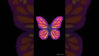 Butterfly Flapping It's Wings Sound Effect