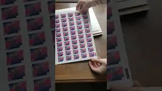 Unboxing custom colorful cosmic bear stamps created using the Canada post service