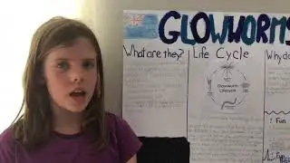 My glowworm presentation