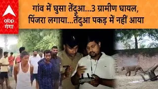 UP NEWS: गांव में घुसा तेंदुआ...3 ग्रामीण घायल, पिंजरा लगाया...तेंदुआ पकड़ में नहीं आया