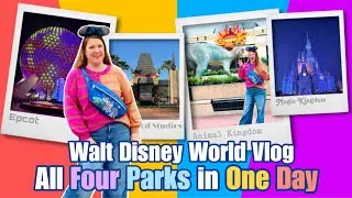Disney World Day in the Life: All Four Parks in One Day #waltdisneyworld #disneyparks #disneyvlog
