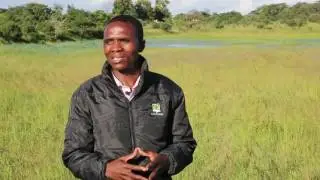Dairy Learning Lab - Water Harvesting