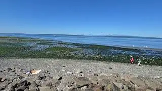 Edmonds waterfront June 2025