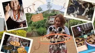 A day filled with nature, laughter, and simplicity 💚. #villagelife #culture .