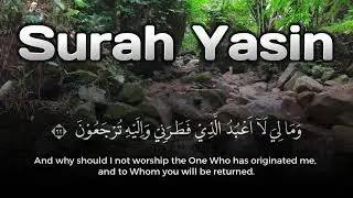 Surah Yasin Quran | Barakah and Rizq and Tranquil Calm