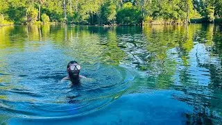 Econfina creek tour