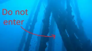 Diving Between Deep Columns in Barbados