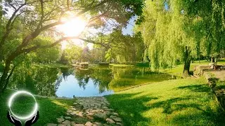 Relax and Fall Asleep - 60 bpm Sleep Music - Insomnia, Sleep Help # 209