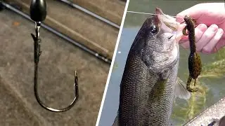 Texas Rig VS Carolina Rig : Everything You Need to Know!