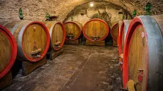 Etruskiske vinoplevelser hos Fattoria Pulciano i Toscana