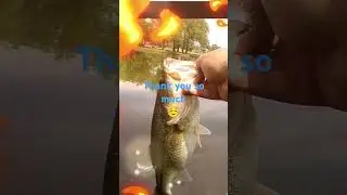 #countrymusic #cowboys #song #baitfishing #fishing #acousticchillsongs #musicgenre #countrychill