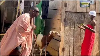 Sheep Stealing Gone Wrong