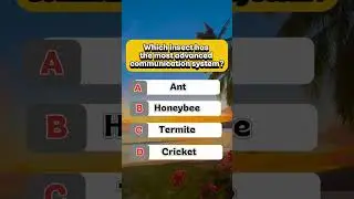 which insect has the advanced communication system? #knowledge #facts #information #animals #quiz