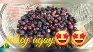 Falsey ka sharbat