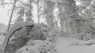 Snowstorm 2021 update-BONUS VIDEO