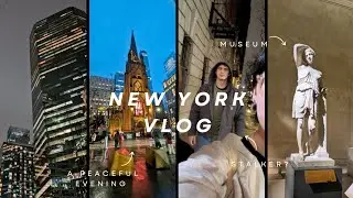 This New York City Trip Got Out of Hand... | Vlog #1