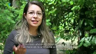 Amate 2025-  Jaczire García - Alas y Raíces Morelos