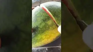 Very ripe watermelon