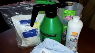 Покупки для моих растений    #цветыдлядома,#вседлярастений,#plants  