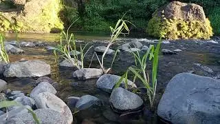 Endless Stream Serenity &ndash; Deep Night Flow for Inner Peace
