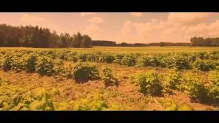 sobiska fields