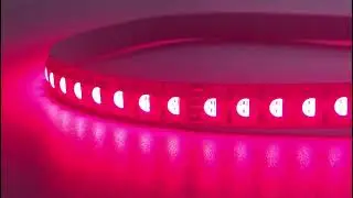 RGB Lights - Red, Green, Blue for Full Color Lights - Smart Bright LEDs