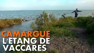 Randonnée Camargue : l'Etang de Vaccarès [Carnets de Rando #10] HD720p