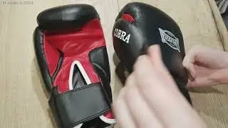 Боксерские перчатки EVERFIGHT EGB-529 COBRA, черные