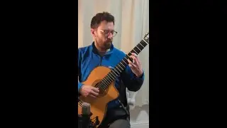 What if I create layers by reversing the guitar's audio #guitar #improvisation #ableton