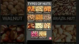 Nut Varieties 📝🧑&zwj;🏫  #education #vocabulary #grammar #learning #handwork #meaning