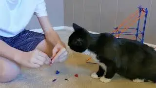 Knex Rings of Fire Game
