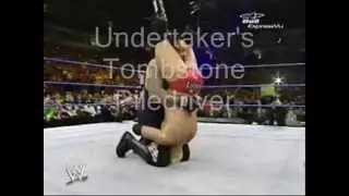 The 5 most devastating finishers in the WWE