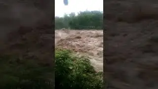 News 📰🗞️ Himachal Pradesh #india || heavy 🌧️ rainfall Kangra || 2021 River overflowing || #shorts