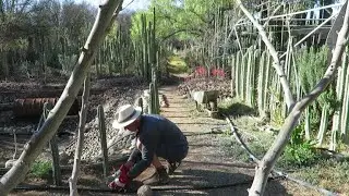Michael's Garden & Cats - Garden On The Edge