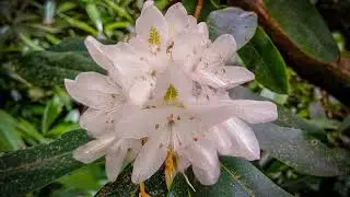 Rod Skelley - Prayer for Redemption - Poetic Video