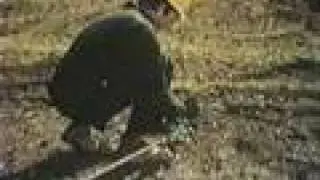 Обучающее видео Geronimo, часть 2