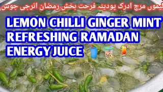 Refreshing Juice | Lemon Chilli Ginger Mint | Energy Juice | Best Juice To Boost Your Energy