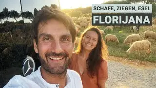 VANLIFE PORTUGAL - Schafe, Ziegen, Esel und Florijana - Wir sind beeindruckt - FLORIJANA VLOG 015