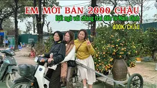 Từ đầu vụ em bán 2000 chậu rồi . Thị trường xôi động tại chợ hoa Mỹ Đình ngày cận tết | Quảng Tùng